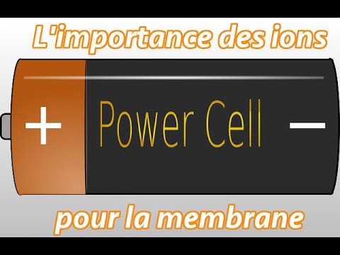 Vidéo: Comment le potassium affecte-t-il le potentiel membranaire au repos?