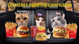 CAT MEMES Family Vacation Compilation
