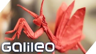 Bildgeschichte: Origamimeister | Galileo | ProSieben