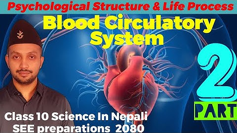 Physiological  Structure and Life Process || Blood circulatory system || Class 10 SCIENCE in NEPALI