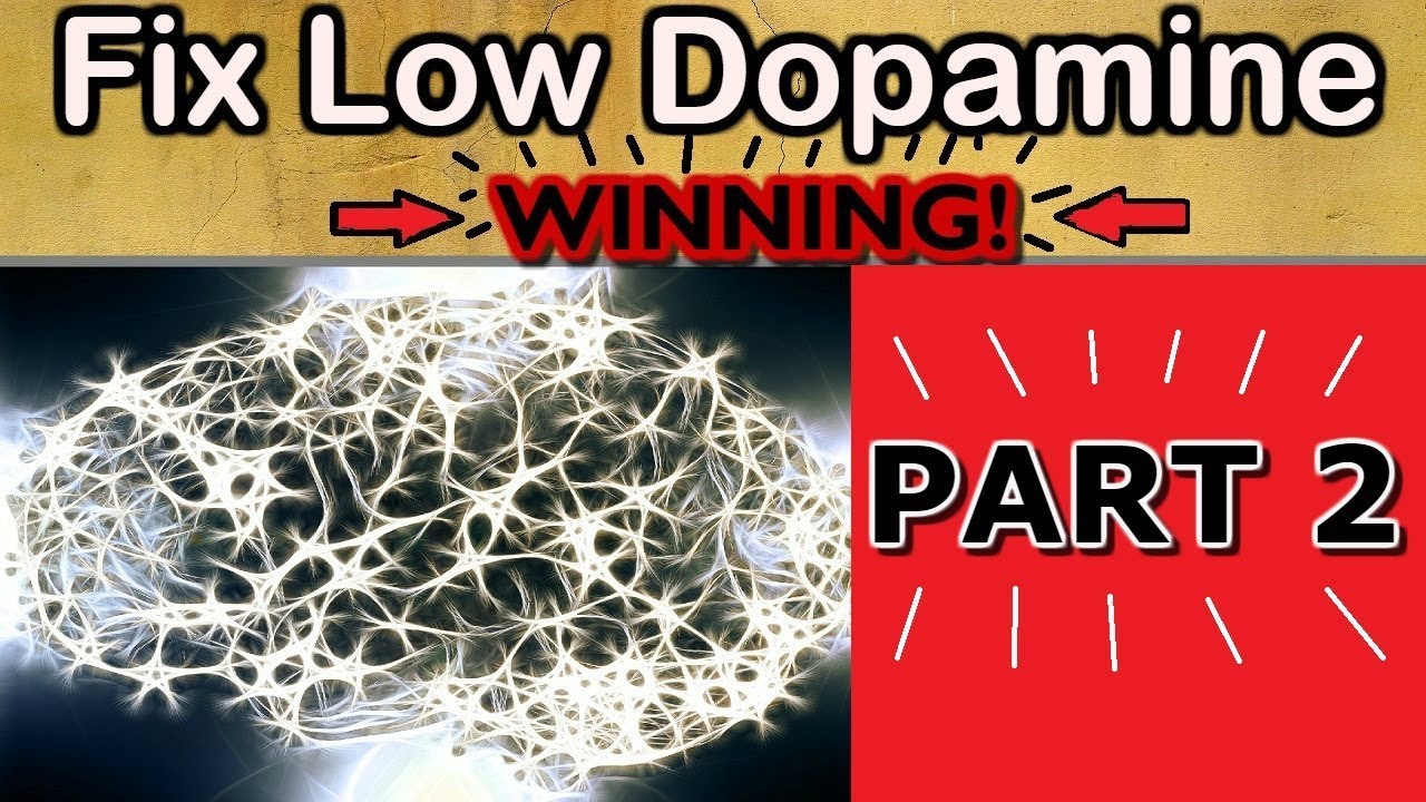 Increase DOPAMINE Naturally - AND WIN AT LIFE ������ PART 2 - YouTube