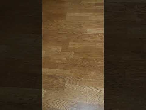 ASMR 咀嚼音 ごりかりかためのおせんべいをたべる音 三幸製菓さん本格堅焼き越後樽焼（えちごたるやき）旨み塩 お得な大容量！ 186g 便利なチャック付きを食べてみよお✊🙆