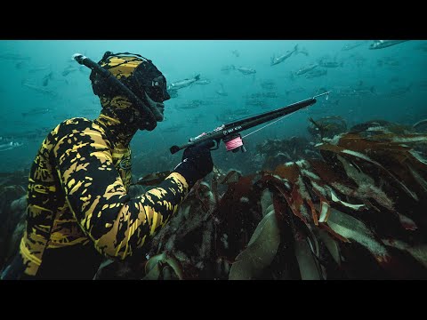 Video: How To Conduct Spearfishing