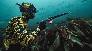 SPEARFISHING BASICS IN UNDER 2 MINUTES screenshot 3