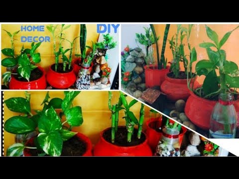 best-indoor-plants-decoration/-how-to-decorate-home-with-plant/craftzone4u-32