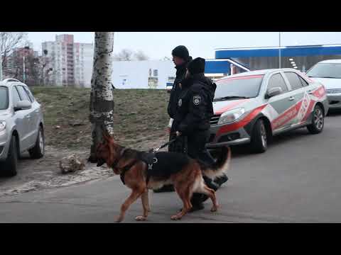 В Киеве на Харьковском шоссе мужчина вынес в подвал мешок с телом женщины