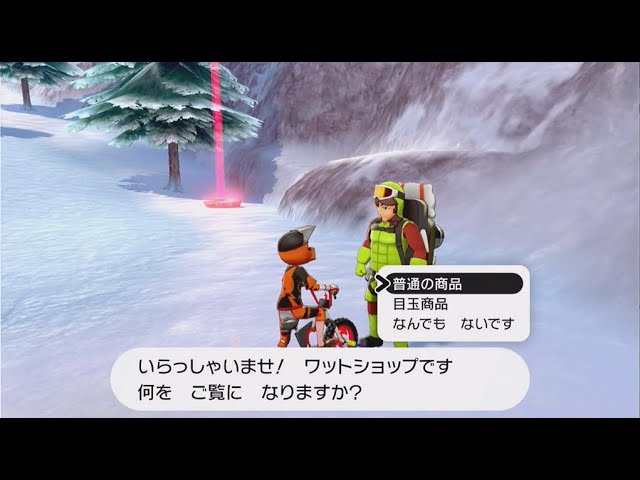 ポケモン剣盾 Arduino 冠の雪原ワットショップ目玉商品の自動購入 Youtube
