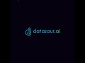 Datasaur demo