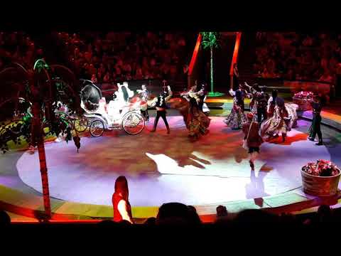 Video: Circus 