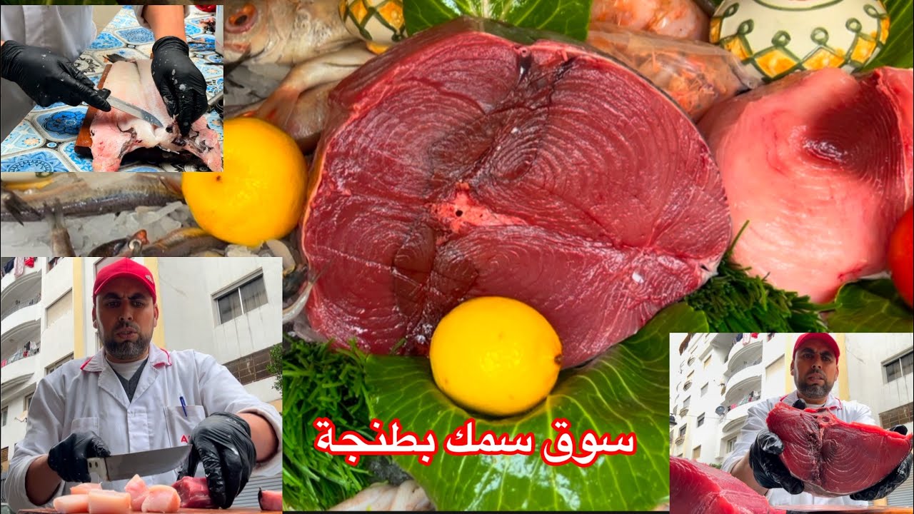 سوق سمك 🎣 بطنجة 