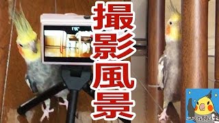 ビビりながらチラ見しまくってた時の撮影風景 ビビりながらチラ見しまくってた時の撮影風景