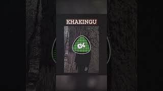 Khakingu - Дом 2024