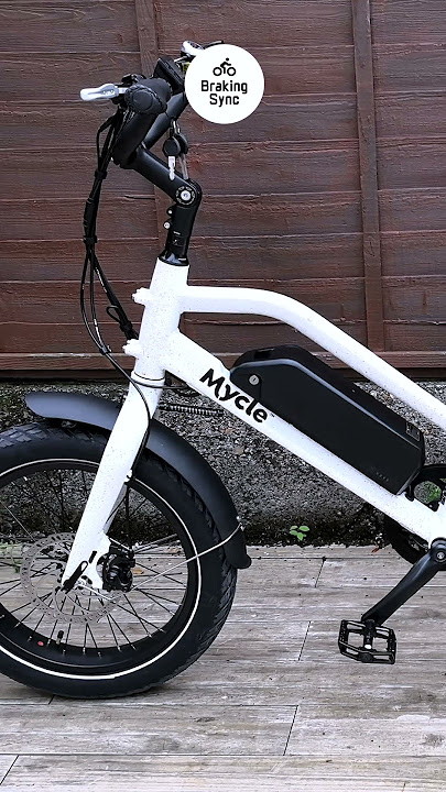 The Truth About the Mycle Cargo After 30 Days of Use