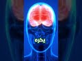 ليس ضعف إرادتك… هذا هو السبب الحقيقي!