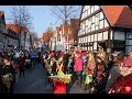 Rheda-Wiedenbrück 2015 , Rosenmontag - Karnevalszug