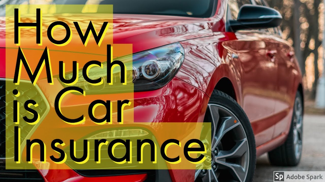 Compare the Market | Cheap Car Insurance - YouTube