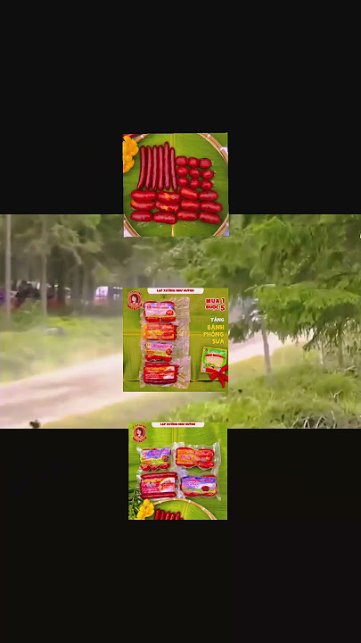 https://vt.tiktok.com/ZSSVGm7h4/