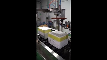 Adaptive foam box sealing machine Automatic foam box packing machine sealing packaging machine