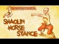 Shaolin Horse Stance: Training for POWER & Health