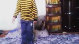 Merveler Köti Köti