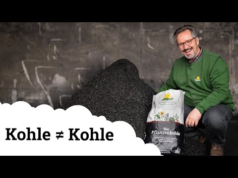 Pflanzenkohle // Aktivkohle