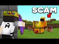How i exposed an illegal players scam in this minecraft server