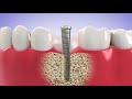 Guelph Royal Dental Centre
