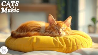 Healing Cat Music 🐱 Soothing Sounds for Deep Relaxation and Sleep With Cat Purring Sound by Peaceful Pet Piano 1,844 views 6 days ago 12 hours