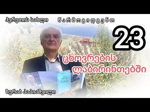 ზურაბ პაპიაშვილი, \"ცხოვრების ლაბირინთებში\