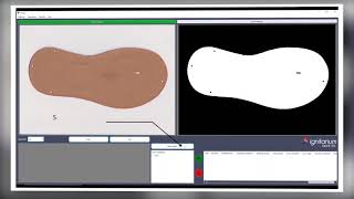 Defect Detection for Footwear
