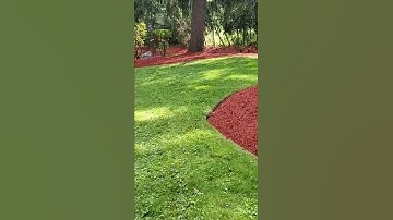 Red mulch