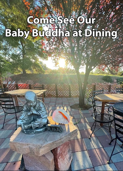 Baby buddha at dining for sedona mago center for well being and retreat