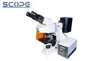 Installation Fluorescence Microscope SMART-FL Upright Mercury Lamp Illumination