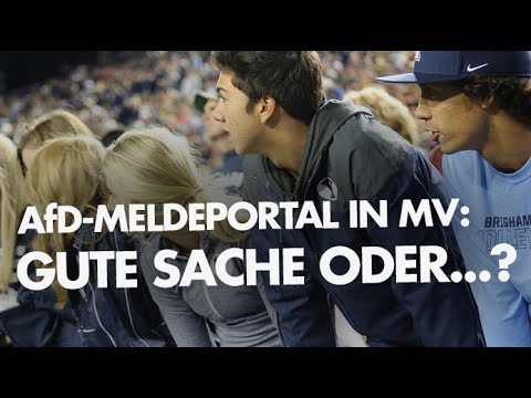 AfD-Meldeportal in MV: Gute Sache oder...?