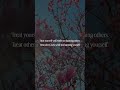 Positive quotes/Positive thoughts/Motivational video/Inspirational quotes/Best motivational videos