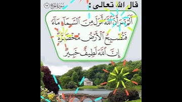 سورة الحج الآية ( 63 )