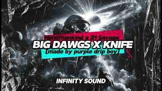 Hanumankind x 21 Savage (Big Dawgs x Knife Talk Full TikTok Remix) [made by purple drip boy]