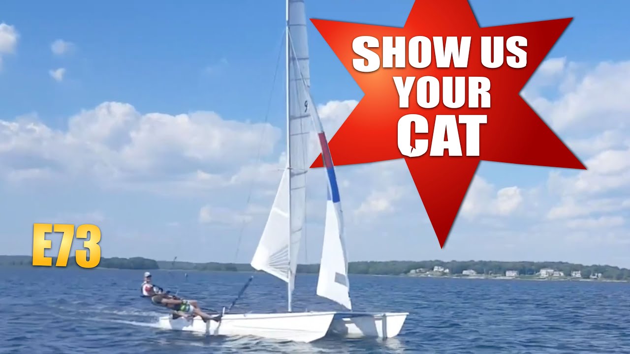 Show us your cat! Episode 73 USA and Holland