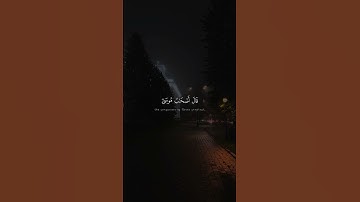 فَلَمَّا تَرَاءَى الْجَمْعَانِ قَالَ أَصْحَابُ مُوسَىٰ   محمد صديق المنشاوي   سورة الشعراء