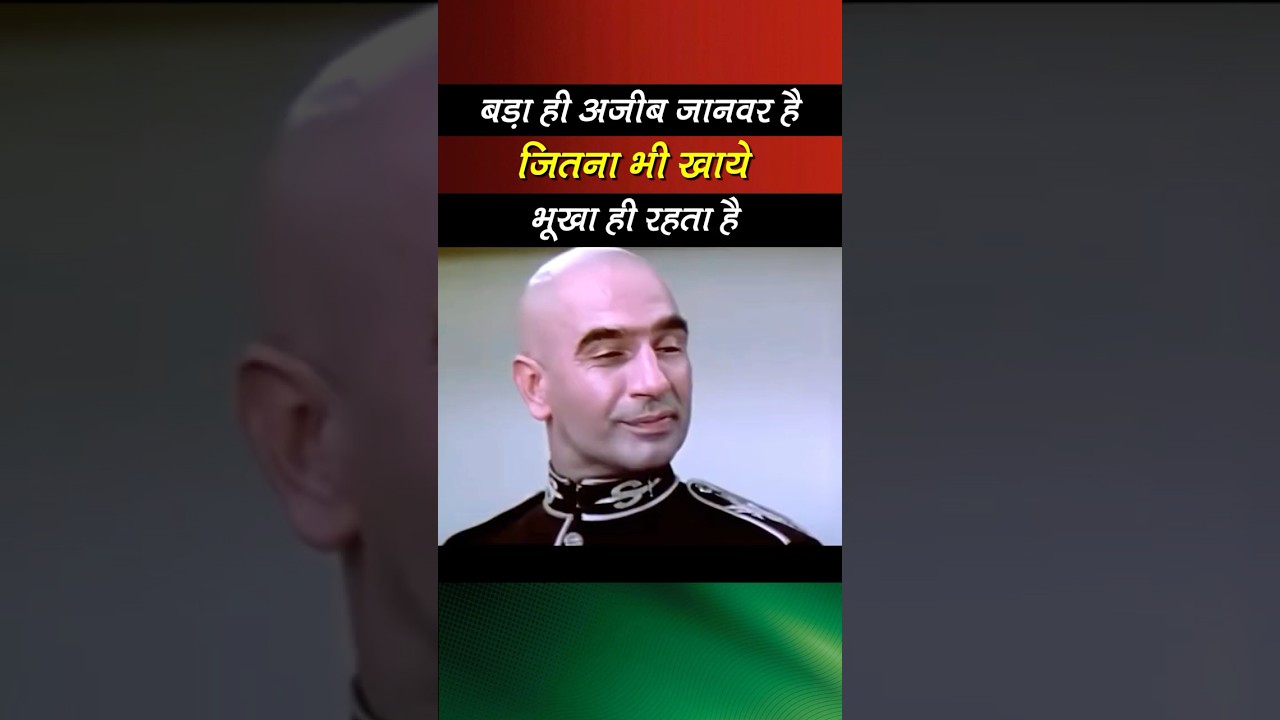 जो मौत के साथ खेलता है l   #bollywood #rjbollywoodtv #bollywoodsrk #bollywoodcinemaxtv #movie #hindi