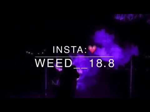شيمي تذكر لحظات العمر فدوه شيمي