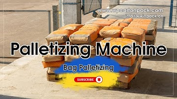 WIN-WIN PACK Single Column Joint Palletizer for Bagged Products #palletizer #palletizingmachine