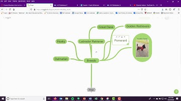Mind Mapping with Coggle It