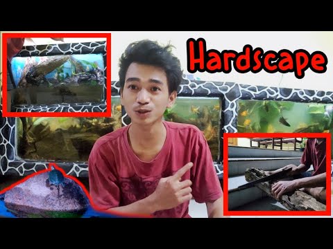 hardscape-step-by-step-pemasangan-batu-kali-dan-kayu-pelem-manalagi-di-aquarium-besar