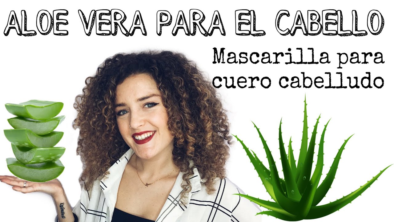 De la cocina a tu pelo: Aloe Vera (sábila) + - YouTube