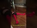 Men are the simplest creatures #funny #funnyvideos #fyp#man#usa