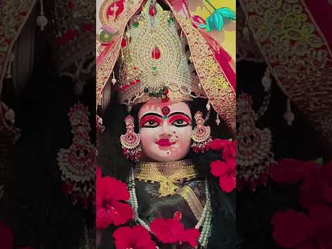 मां लेके आया माता रानी के भवन में 🌺🙏 #shortvideo #trending #maashakti #viralvideo #youtube 🌺🌺🙏🙏