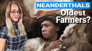 Neanderthals Farming 125000 Years Ago? Hypothesis Forest Clearing