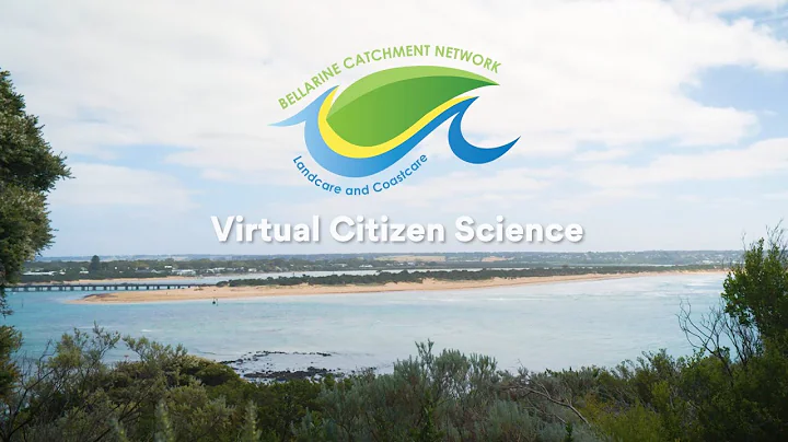 Virtual Citizen Science