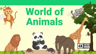 World of Animals in 4K | Nature's Treasures: 4K Animal Kingdom by Wild Chapter 1,294 views 2 months ago 1 hour, 27 minutes